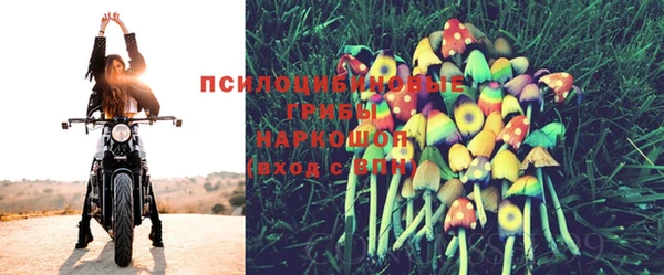 скорость Алзамай